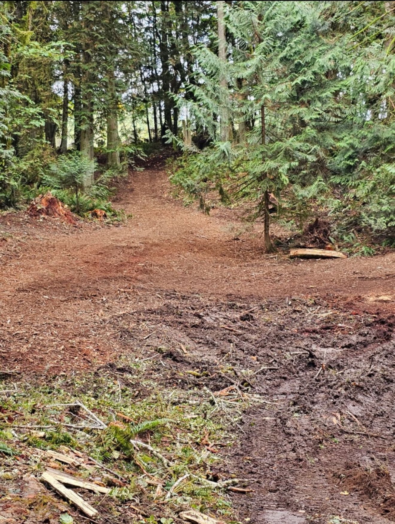 Muddy forest trail with cleared dirt path leading uphill. Brown, wet soil, trees on either side.