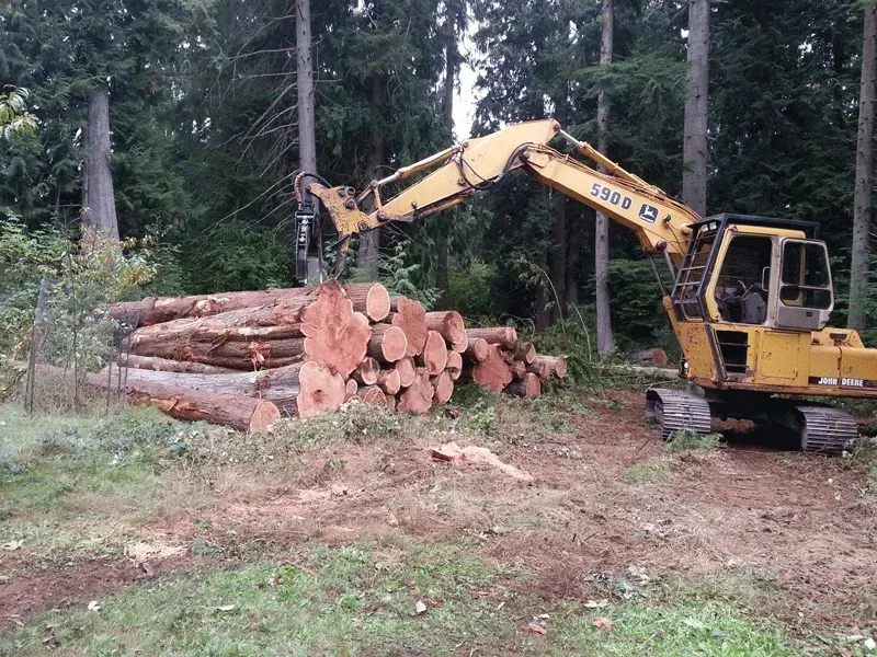 Yellow excavator lifting logs in a forest clearing.