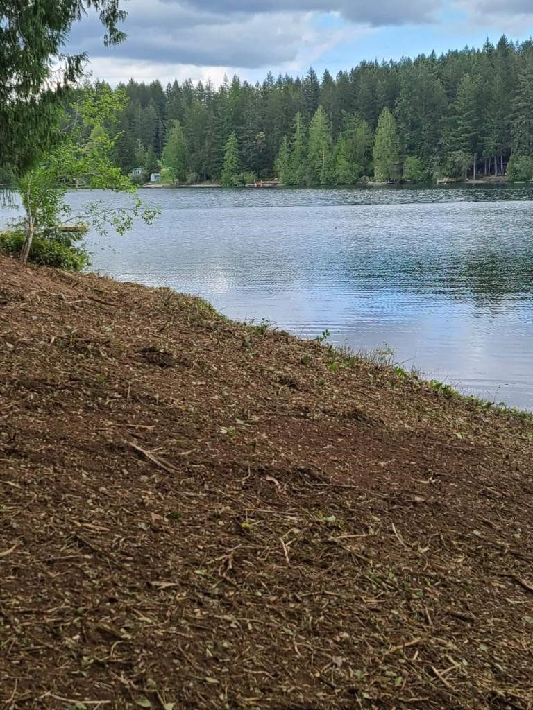 Lakeshore with dark brown mulch. Lake water ripples, reflecting the sky. Trees in the background.
