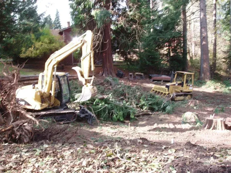 Yellow excavator and bulldozer clearing debris in a wooded area.