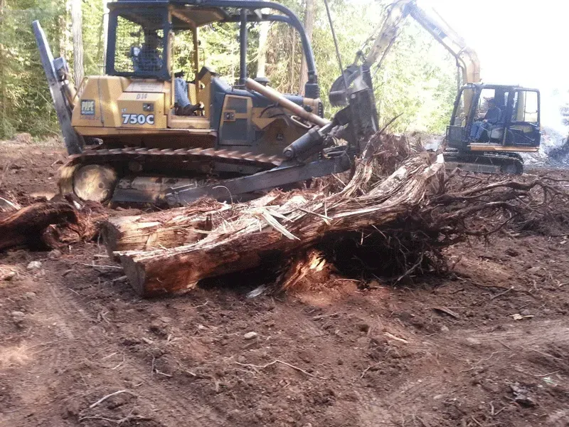 Yellow bulldozer removing tree stump in a cleared dirt area. Excavator in background.
