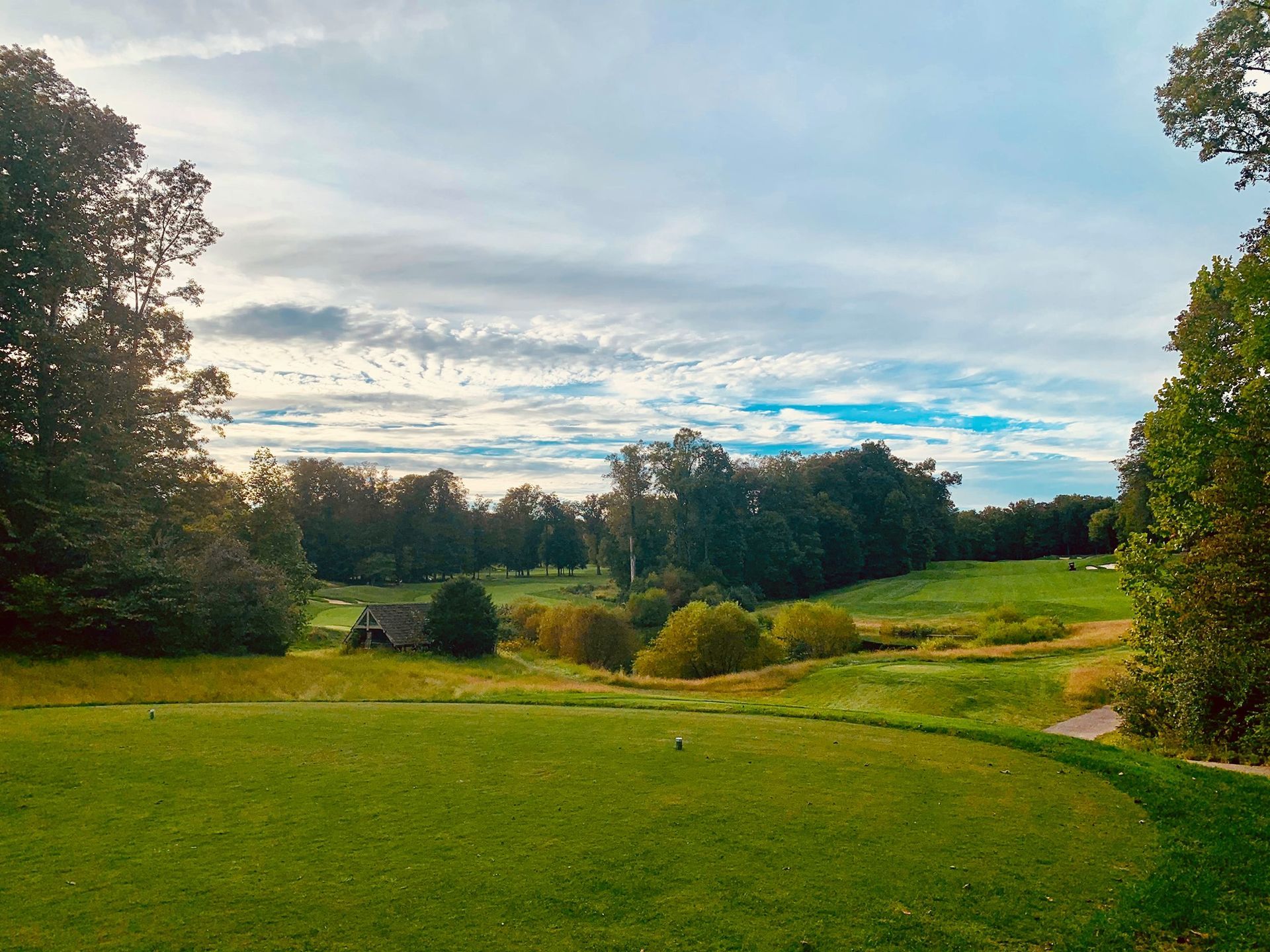 Green golf course with trees under a cloudy sky.