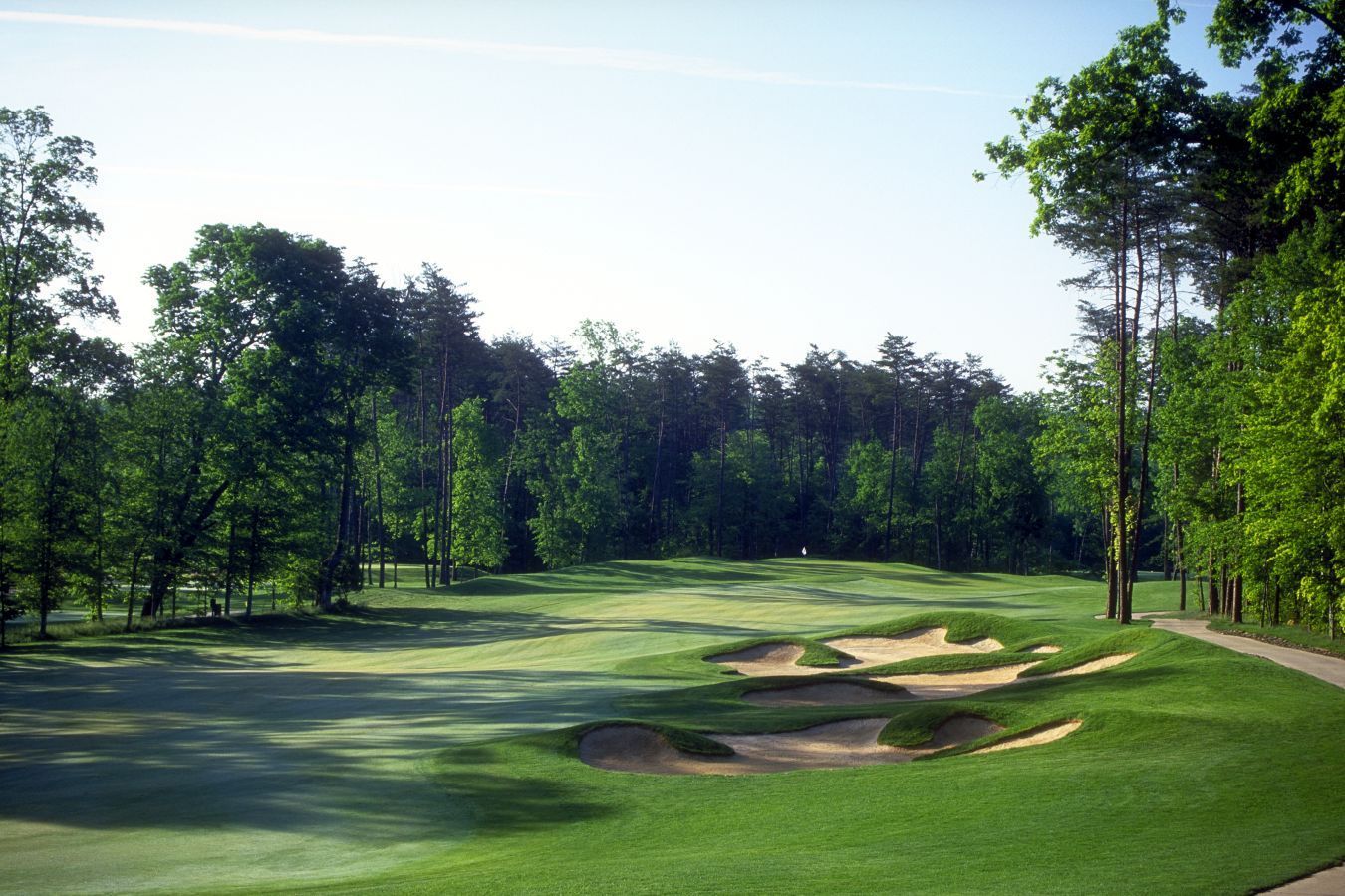 Green golf course with sand traps, trees, and blue sky.