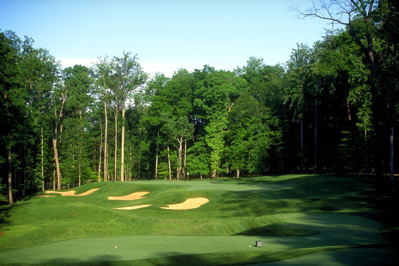 Golf course green with sand traps, trees in background and clear blue sky.