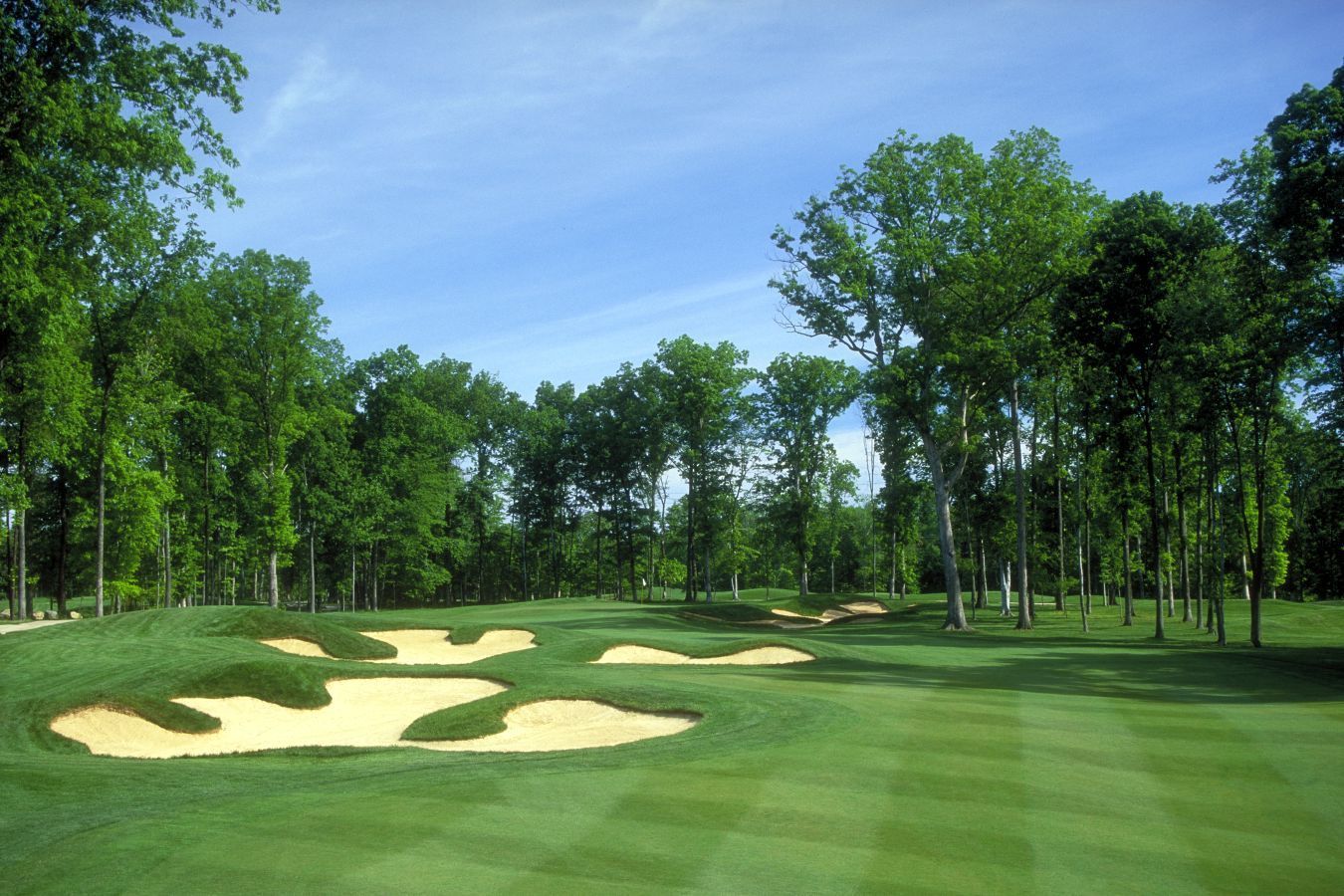Golf course fairway with sand traps, tall trees, and blue sky.