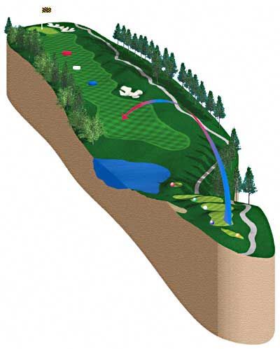 Golf course illustration with tee box, fairway, water hazard, and green. Ball flight paths shown in blue and red.