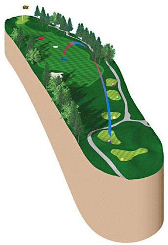 Golf hole illustration; blue golf ball arc towards green with flag, trees, and path.