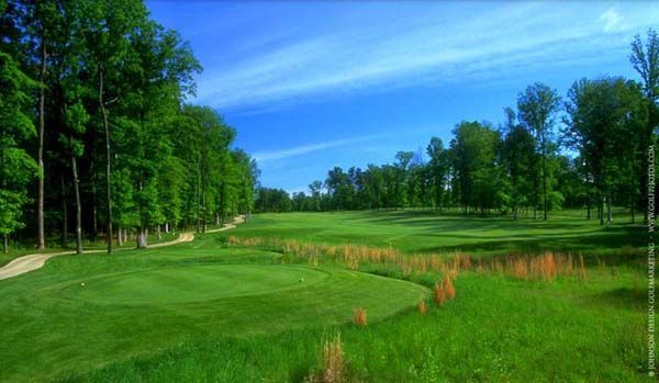 Green golf course under a bright blue sky with trees lining the fairways.
