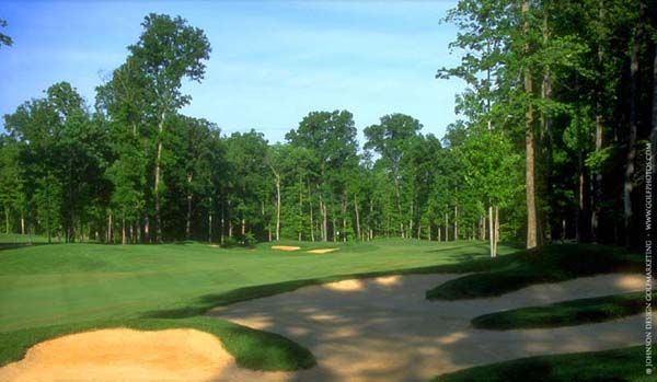 Green golf course with sand traps and tall trees under a blue sky.