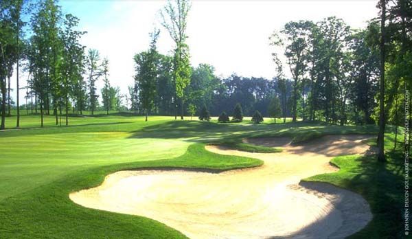 Green golf course with sand traps and tall trees under a bright blue sky.