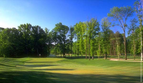 Green golf course with trees under a bright blue sky.