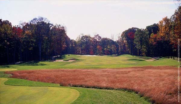 Golf course fairway with trees in the background, autumn colors, and tall grass in the foreground.