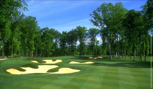 Golf course with green grass, sand traps, and tall trees under a blue sky.