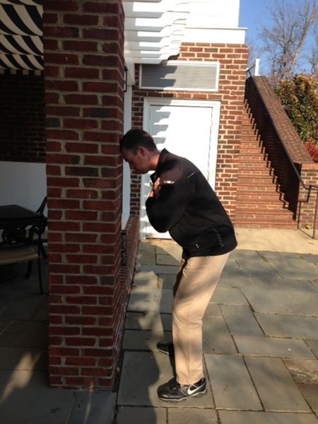 Person looking intently at a brick wall, hands crossed, outdoors, sunny.
