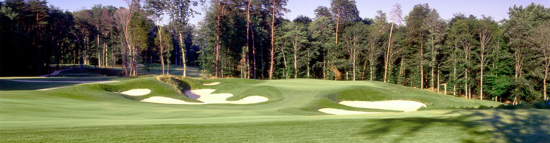 Golf course green with bunkers, surrounded by trees.