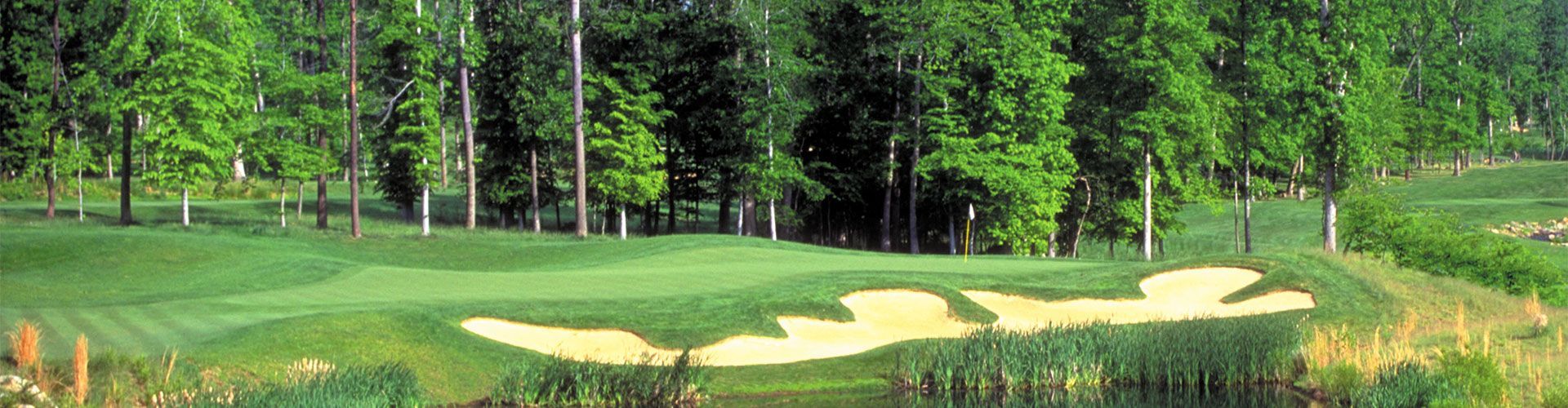 Golf course scene with trees, sand traps, and water.