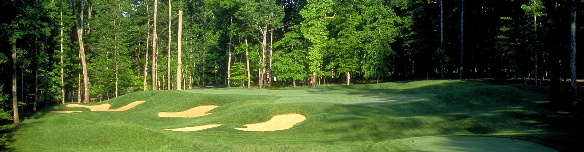 A green golf course with bunkers surrounded by trees.