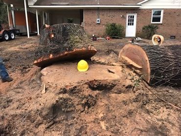 Truck of tree cut down in chunks