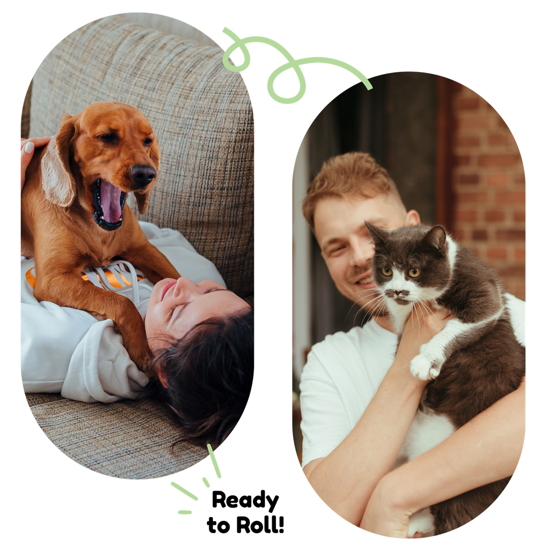 A woman is laying on a couch with a dog and a man is holding a cat.