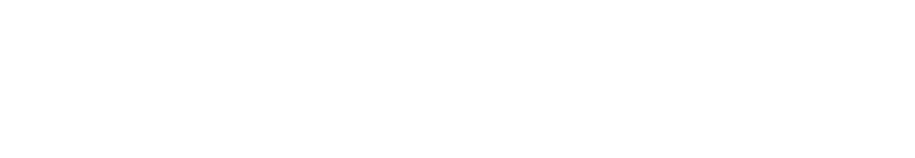 Wisetack white logo.