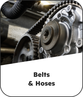 Belt Service Card | Lake City Autoworks