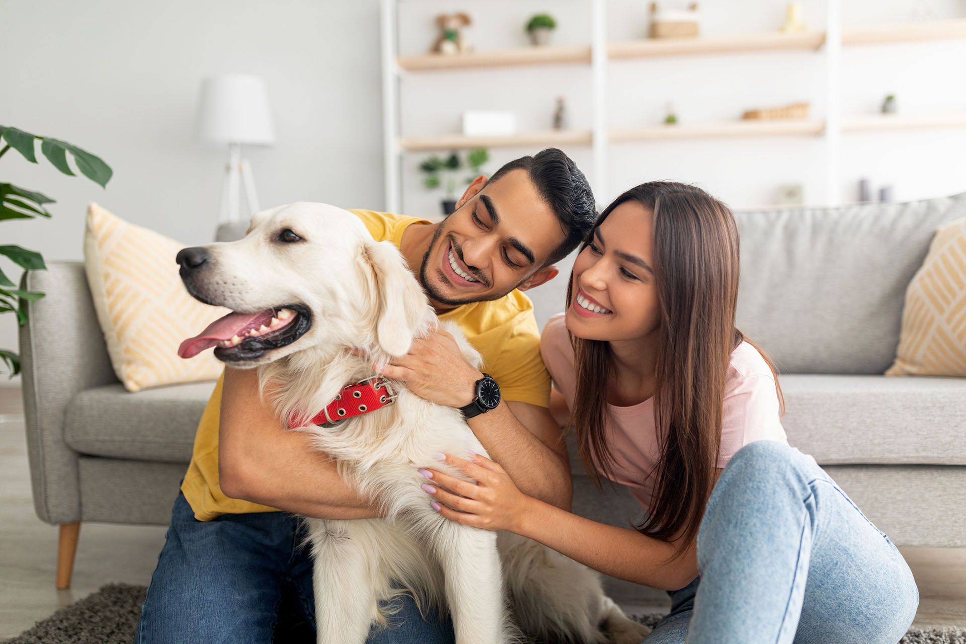 A man and a woman are petting a dog in a living room