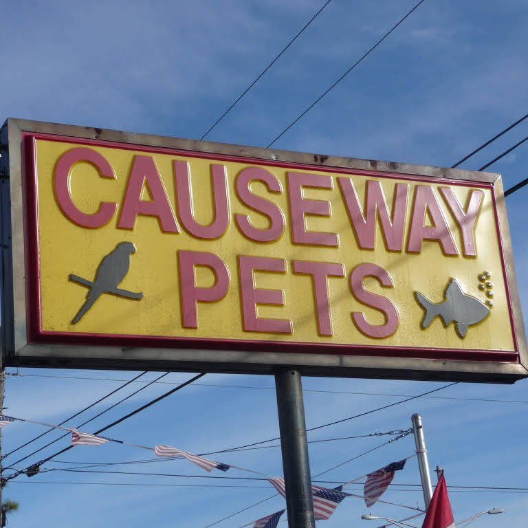 Gallery Metairie, LA Causeway Pets
