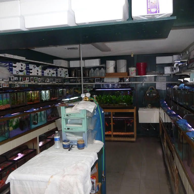 Gallery Metairie, LA Causeway Pets