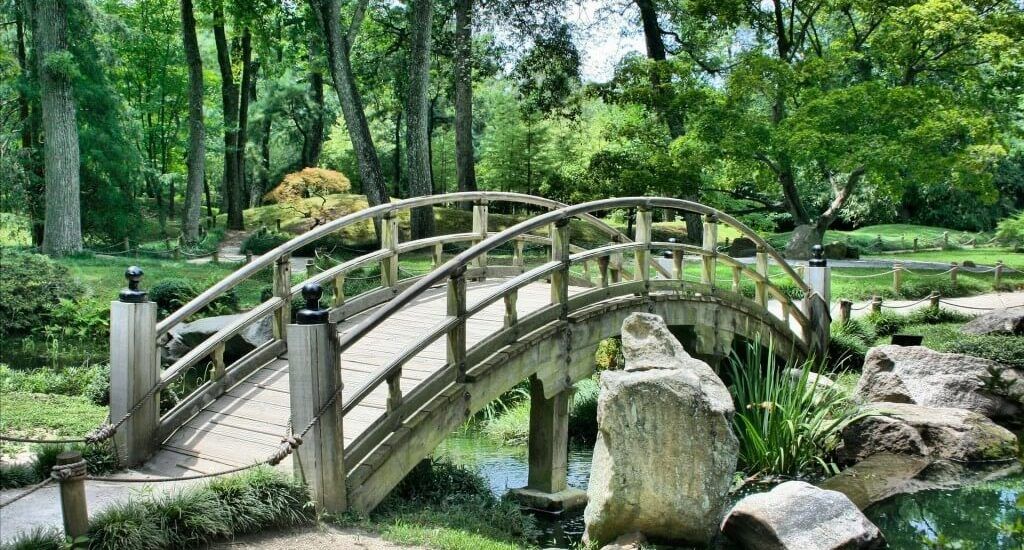 a beautiful rustic bridge in a verdant park