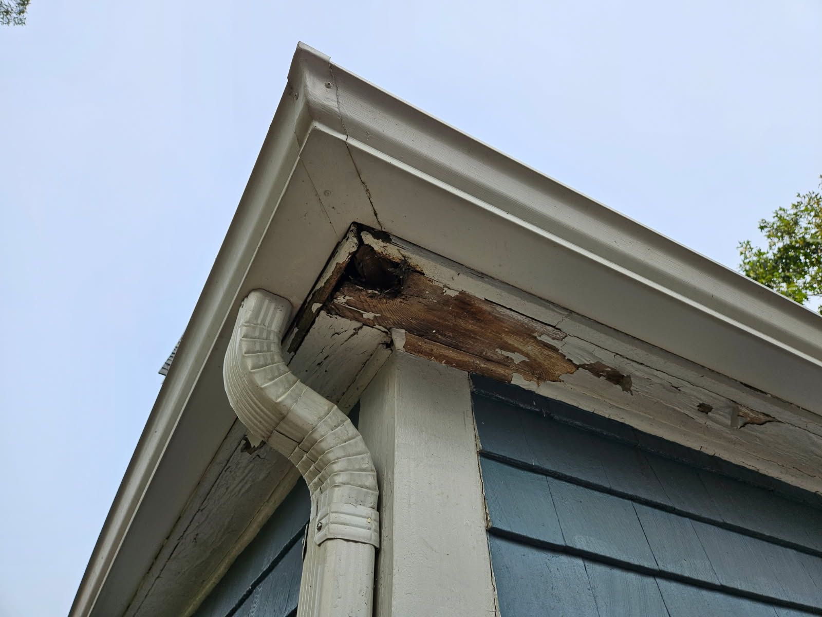Damaged corner of a building's fascia board with a gutter and downspout; blue siding below.