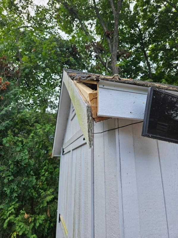 Damaged shed roof with exposed wood and missing shingles, next to a tree.