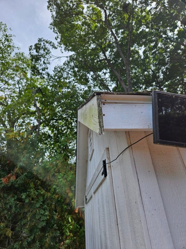 White shed corner with damaged trim, under a green tree canopy.