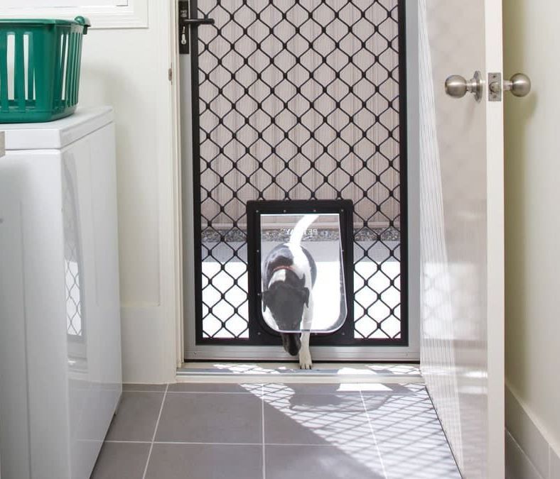 A Black Door With a Mesh Screen on It — A1 Security Screens Cairns In Manunda, QLD
