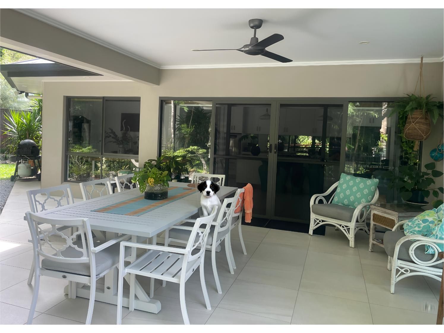 A Dog is Sitting at a Table on a Patio With a Ceiling Fan — A1 Security Screens Cairns In Manunda, QLD
