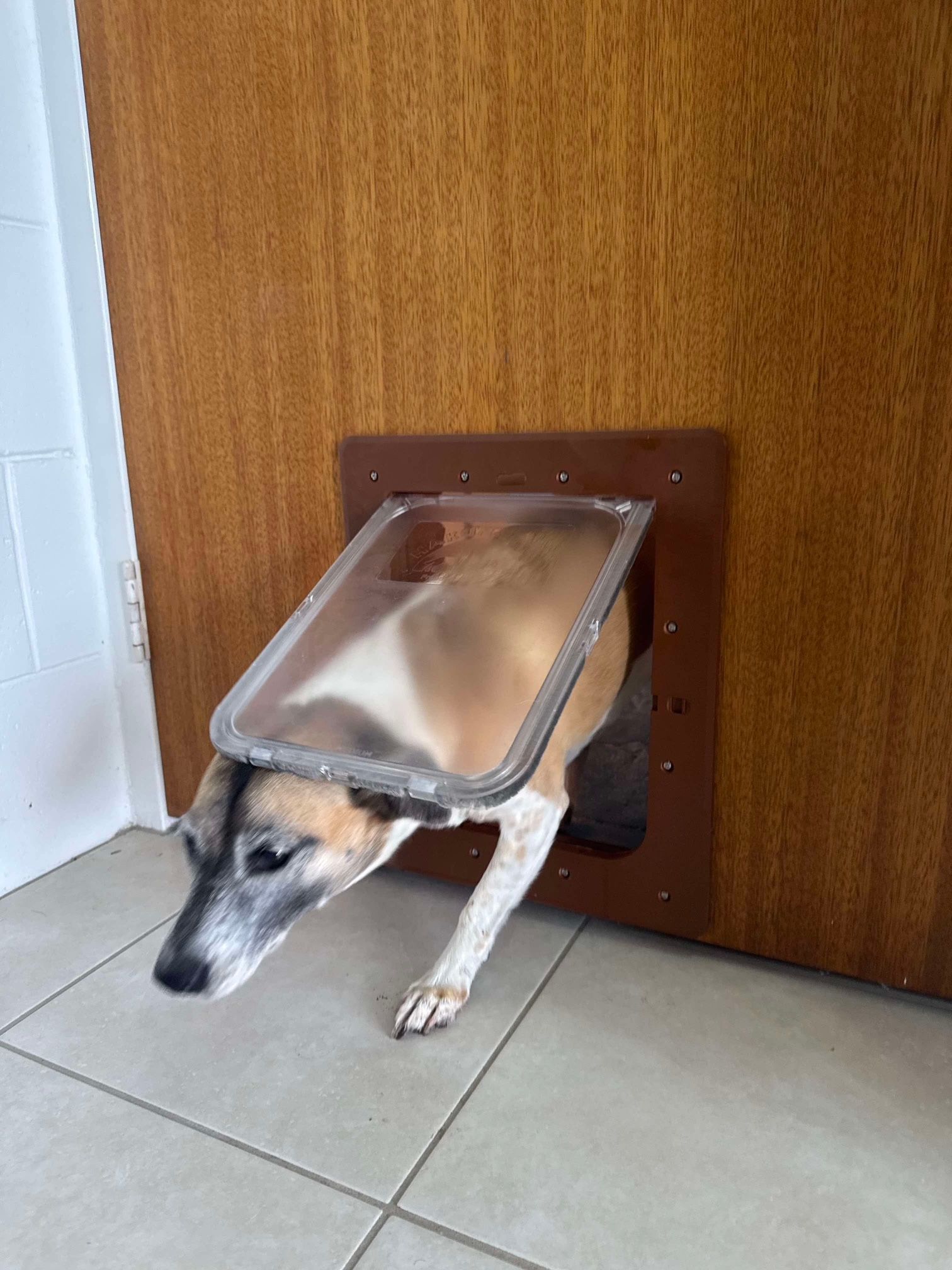 A Close Up of a Window With a Metal Frame — A1 Security Screens Cairns In Manunda, QLD