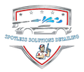 Spotless Solutions Detailing