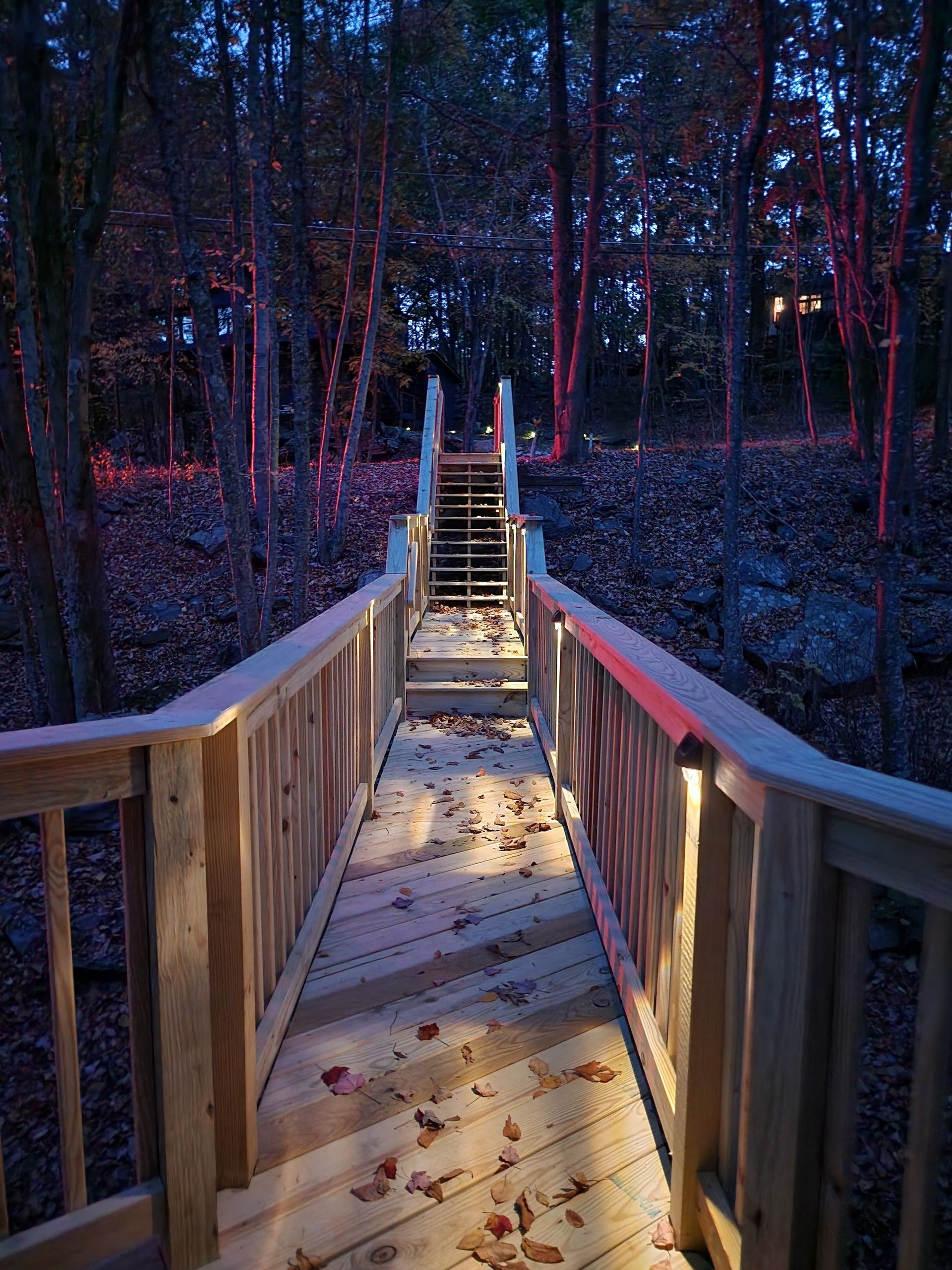 Walkway in the woods with a nice ambiance