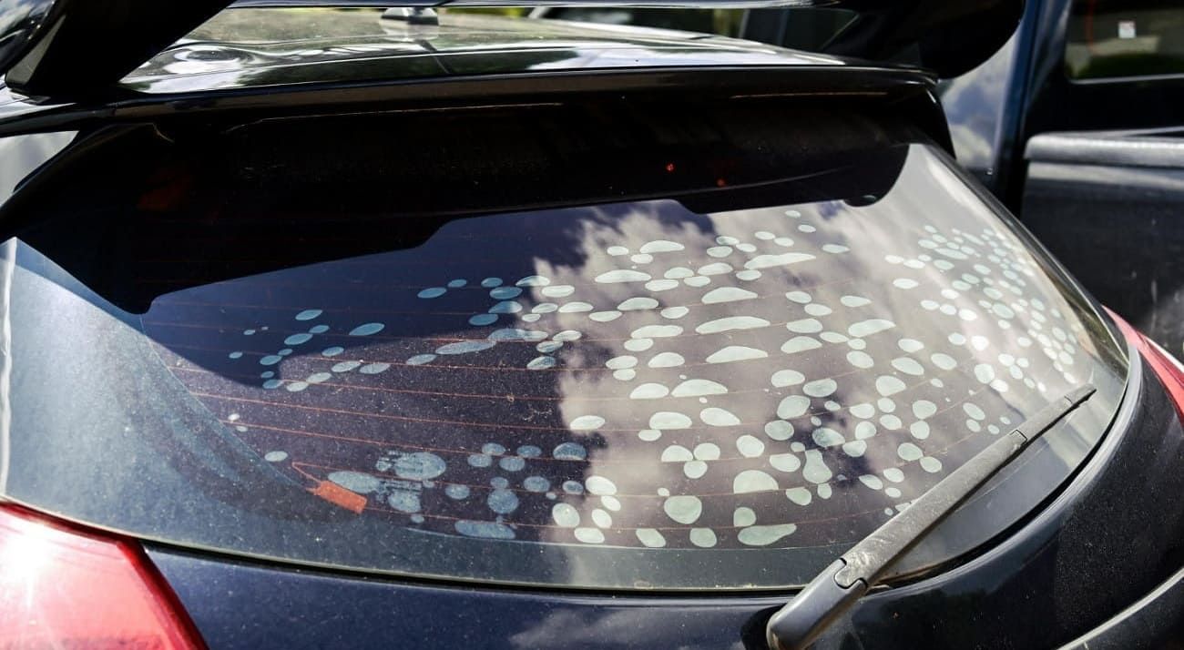 cheap window tint problems
