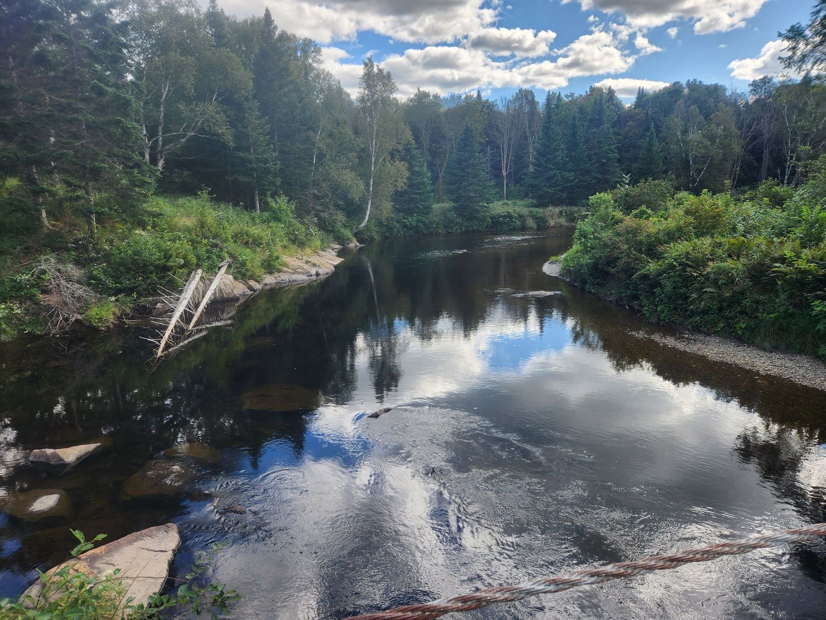 A river surrounded by trees on a sunny day