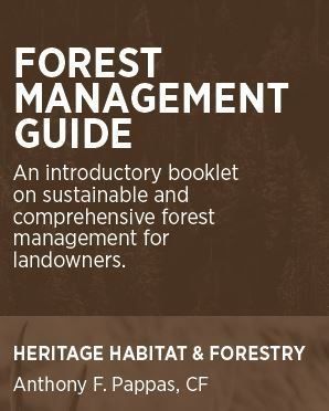 forest management guide