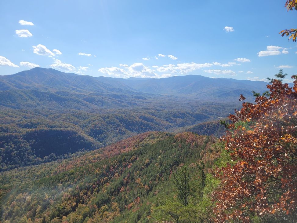 Mountain landscape with blue sky, layered ridges, and autumn-colored trees in the foreground