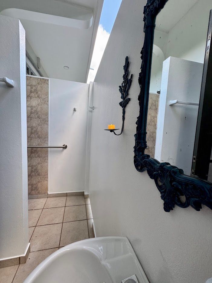 Bathroom with open shower, ornate mirror, and candle sconce. White walls, tan tile, and a skylight.