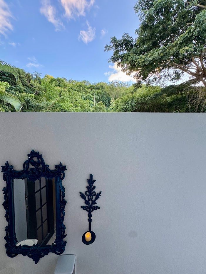 Blue-framed mirror and candle holder on a white wall. Green trees and blue sky fill the background.