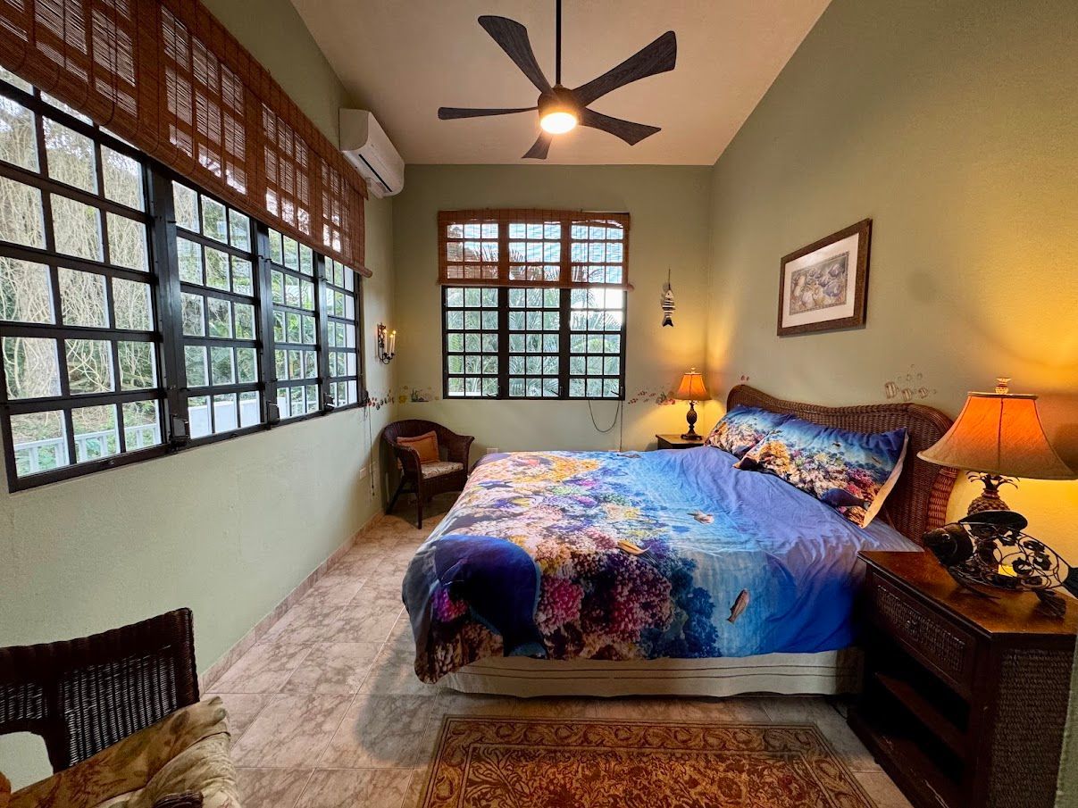 Bedroom with bed, wicker furniture, large windows with blinds, and green walls.