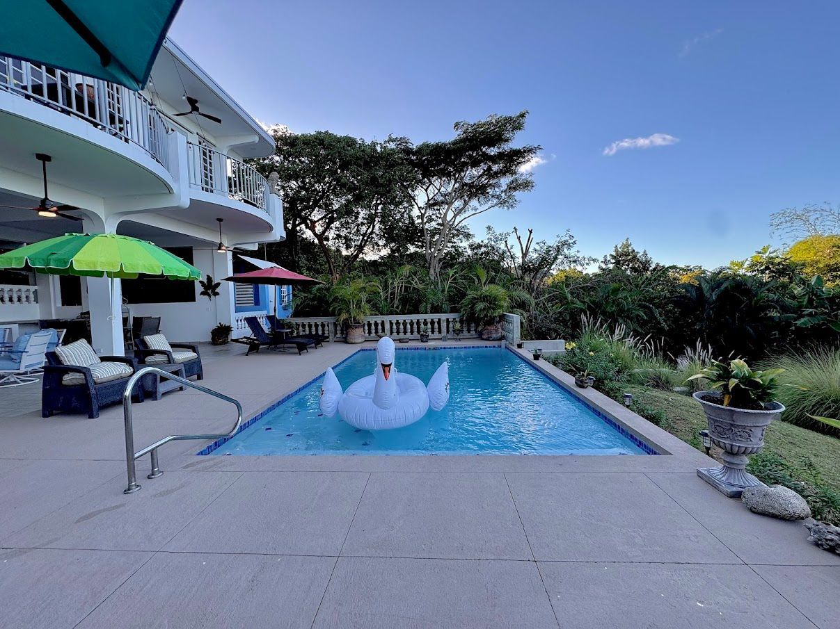 Pool with swan float, surrounded by patio furniture and trees, under a blue sky.