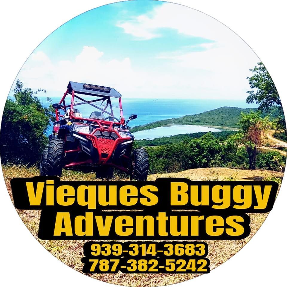 Green hills overlook a turquoise ocean under a bright blue sky, with tropical foliage in the foreground.