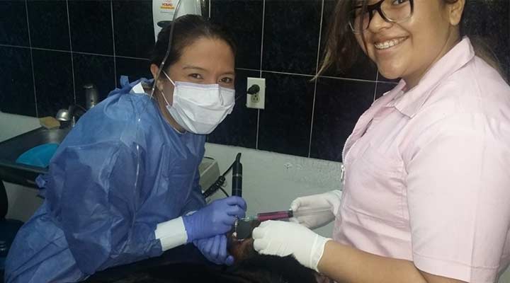 AEROPUERTO CLÍNICA VETERINARIA DÍAZ - el servicio más completo