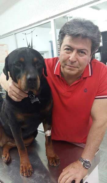 AEROPUERTO CLÍNICA VETERINARIA DÍAZ - Diagnóstico temprano