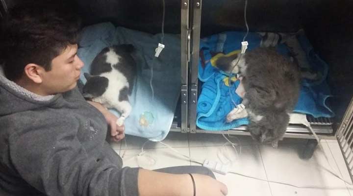 AEROPUERTO CLÍNICA VETERINARIA DÍAZ - más de 37 años de experiencia