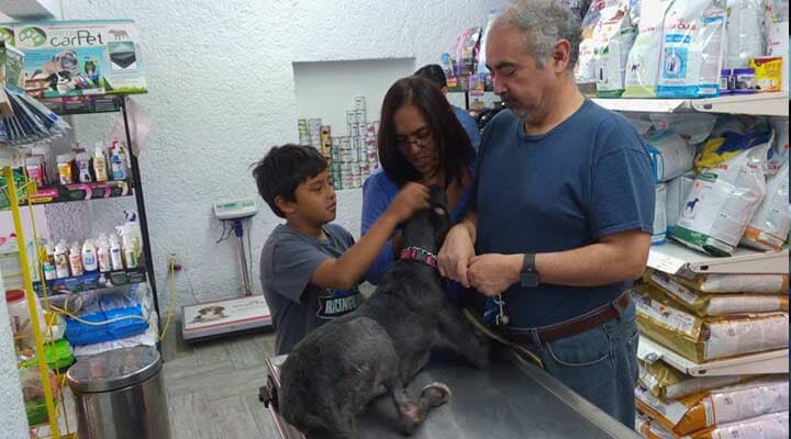 AEROPUERTO CLÍNICA VETERINARIA DÍAZ - Clínica veterinaria de prestigio